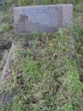 image of grave number 105155